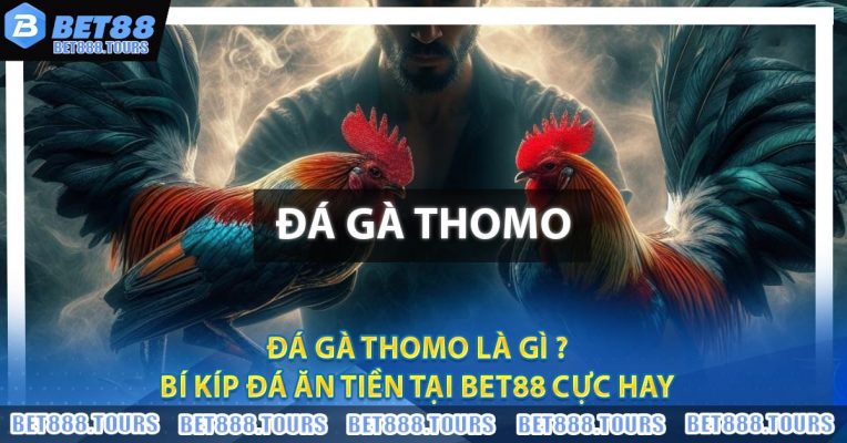 Đá Gà Thomo Là Gì ? Bí Kíp Đá Ăn Tiền Tại BET88 Cực Hay