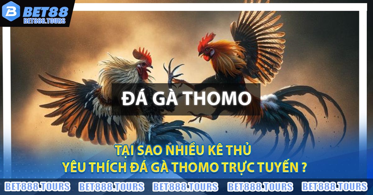 Tại sao nhiều kê thủ yêu thích Đá Gà Thomo trực tuyến ?